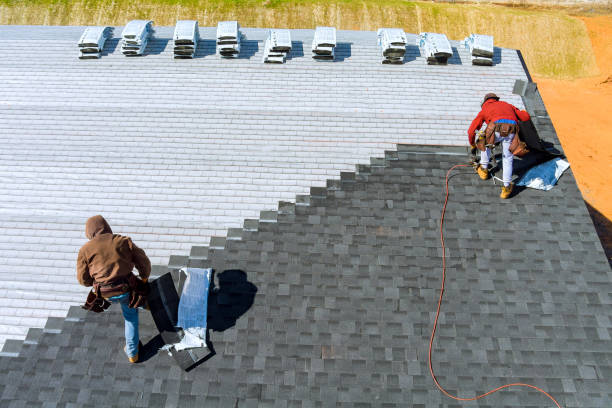 Best Roof Gutter Cleaning  in Sheffield, AL